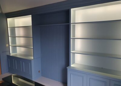Expert Painting of Built-in Cabinetry & Paneling