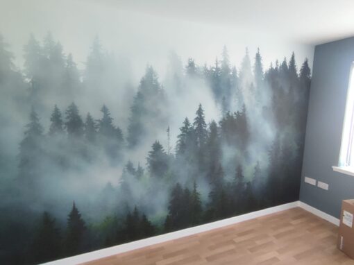 Bedroom Painting and Feature Mural Installation, Gracemount